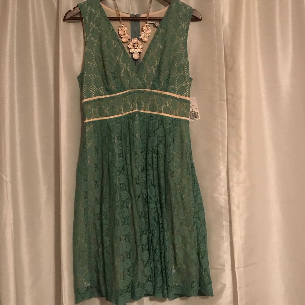 New Sage green lace dress
